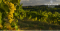 Preview: Manzane landscape