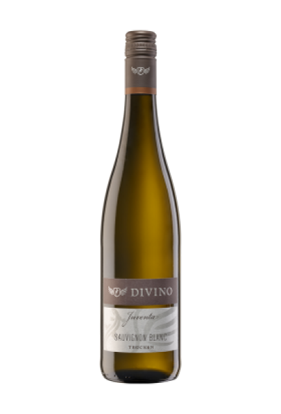 JUVENTA 2020 Sauvignon Blanc trocken DIVINO Nordheim Franken 0,75l Flasche
